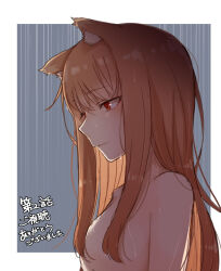 Rule 34 | 1girl, animal ear fluff, animal ears, ayakura juu, border, breasts, bright pupils, brown hair, close-up, closed mouth, commentary request, grey background, hair between eyes, hair over breasts, holo, long hair, looking down, nude, official art, profile, rain, red eyes, sad, second-party source, simple background, small breasts, solo, spice and wolf, straight hair, tail, translation request, wet, white border, wolf ears, wolf tail