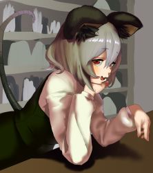 Rule 34 | 1girl, animal ear fluff, animal ears, blush, commentary request, cookie (touhou), counter, green skirt, green vest, grey hair, hair between eyes, head rest, highres, koiso usu, long sleeves, looking at viewer, mouse ears, mouse girl, mouse tail, nazrin, nyon (cookie), open mouth, red eyes, shelf, shirt, short hair, skirt, smile, solo, tail, touhou, upper body, vest, white shirt
