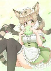 Rule 34 | 1girl, absurdres, animal ears, apron, cat ears, cat girl, cat tail, dress, extra ears, food, green dress, grey hair, highres, japari bun, jungle cat (kemono friends), kemono friends, long hair, looking at viewer, maid apron, maid headdress, ribbon, shiraha maru, simple background, solo, tail, thighhighs, twintails, yellow eyes