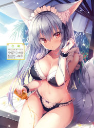Rule 34 | 1girl, :o, animal ear fluff, animal ears, bare shoulders, beach, beach umbrella, bikini, black bikini, black ribbon, blush, breasts, cleavage, cloud, collarbone, day, dengeki moeou, flower, fox ears, fox girl, fox tail, frilled bikini, frills, gluteal fold, groin, hand up, highres, large breasts, long hair, looking at viewer, lotion, lotion bottle, maid, maid bikini, maid headdress, navel, ocean, outdoors, parted lips, pouring, pouring onto self, red eyes, ribbon, silver hair, sitting, solo, stomach, swimsuit, tail, tateha (marvelous grace), thighs, umbrella, unconventional maid, very long hair, wet, white flower, wrist cuffs