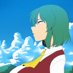 Rule 34 | 1girl, amazon (taitaitaira), animated, animated gif, blinking, blue sky, breasts, cloud, cloudy sky, from side, green hair, huge filesize, kazami yuuka, large breasts, looking afar, parted lips, red vest, shirt, sky, touhou, vest, white shirt, yellow neckwear