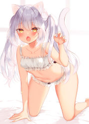 Rule 34 | 1girl, all fours, animal ear fluff, animal ears, bare arms, bare legs, bare shoulders, barefoot, bed sheet, blush, bow, bow panties, bra, breasts, brown eyes, cat ears, cat girl, cat tail, claw pose, collarbone, commentary request, fang, feet out of frame, frilled bra, frilled panties, frills, hair between eyes, hand up, long hair, looking at viewer, navel, open mouth, original, panties, sazaki ichiri, silver hair, small breasts, solo, tail, thighs, twintails, underwear, very long hair, white bra, white panties, window