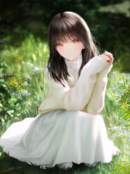 Rule 34 | 1girl, absurdres, blush, brown hair, closed mouth, collared shirt, commentary, day, field, full body, grass, hair over shoulder, highres, long sleeves, looking at viewer, medium hair, ojay tkym, original, outdoors, own hands together, red eyes, shadow, shirt, shoes, sidelocks, signature, skirt, smile, sneakers, solo, squatting, sunlight, sweater, symbol-only commentary, undershirt, white footwear, white skirt, yellow sweater