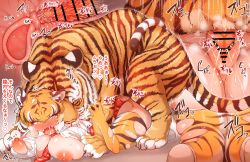 Rule 34 | 1girl, animal, animal ears, animal penis, animal print, bar censor, bestiality, between breasts, black hair, blonde hair, blush, breasts, censored, cervix, cross-section, doggystyle, elbow gloves, fangs, fucked silly, gloves, grabbing, heart, highres, kemono friends, large breasts, medium hair, motion lines, multicolored hair, multiple views, name connection, necktie, necktie between breasts, nipples, no bra, no panties, nose blush, penis, plaid necktie, plaid sleeves, plaid trim, pussy, pussy juice, rape, saliva, sex, sex from behind, shirt, short sleeves, skindentation, sound effects, spiked penis, streaked hair, struggling, tail, tanaka kusao, tearing up, testicles, tiger, tiger (kemono friends), tiger ears, tiger girl, tiger print, tiger tail, torn clothes, torn gloves, torn legwear, torn shirt, translation request, unaligned breasts, uterus, vaginal, white hair, white shirt