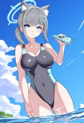 Rule 34 | 1girl, animal ear fluff, animal ears, black one-piece swimsuit, blue archive, blue eyes, bottle, breasts, competition swimsuit, covered navel, cross hair ornament, extra ears, grey hair, hair ornament, halo, highleg, highleg swimsuit, highres, holding, kan suke, low ponytail, medium breasts, medium hair, mismatched pupils, multicolored clothes, multicolored swimsuit, official alternate costume, one-piece swimsuit, parted lips, ramune, shiroko (blue archive), shiroko (swimsuit) (blue archive), solo, standing, swimsuit, wading, water, wolf ears
