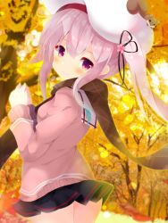 Rule 34 | 1girl, animal, autumn leaves, beret, black skirt, blush, brown scarf, closed mouth, commentary request, fuuna thise, hair between eyes, hands up, harusame (kancolle), hat, kantai collection, long hair, long sleeves, looking at viewer, looking to the side, pink hair, pink sweater, pleated skirt, purple eyes, scarf, side ponytail, skirt, smile, solo, squirrel, sweater, tree, white hat