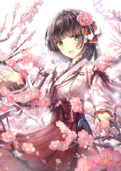 Rule 34 | 1girl, :d, backlighting, bob cut, branch, breasts, brown hair, commentary request, flower, frilled kimono, frills, green eyes, hair flower, hair ornament, hakama, hakama skirt, hand up, head tilt, highres, japanese clothes, kimono, lace-trimmed sleeves, lace trim, long sleeves, looking at viewer, missile228, new year, open mouth, original, pink flower, red hakama, short kimono, simple background, skirt, small breasts, smile, solo, white background, white kimono, wide sleeves