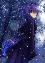 Rule 34 | 1girl, blue eyes, breasts, coat, commentary request, dutch angle, full moon, gloves, hair between eyes, hair intakes, heterochromia, highres, long hair, long sleeves, looking at viewer, looking back, moon, murasame shia, night, night sky, original, outdoors, parted lips, purple coat, purple gloves, sky, small breasts, snow, snowing, solo, tail, yellow eyes