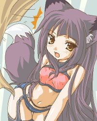 1girl ^^^ animal_ear_fluff animal_ears fang female_focus fox_ears fox_tail kazami_karasu lingerie long_hair lowres oekaki purple_hair solo surprised sweat tail underwear undressing yellow_eyes