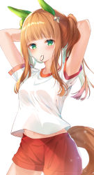 Rule 34 | 1girl, animal ears, arms behind head, arms up, blush, breasts, brown hair, closed mouth, commentary request, green eyes, groin, gym shirt, gym shorts, gym uniform, hair tie, hair tie in mouth, highres, horse ears, horse girl, horse tail, long hair, looking at viewer, mouth hold, navel, ponytail, red shorts, rukinya (nyanko mogumogu), shirt, short shorts, short sleeves, shorts, silence suzuka (umamusume), simple background, small breasts, solo, tail, tying hair, umamusume, white background, white shirt