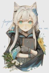 Rule 34 | 1girl, 345491r-ll, animal ear fluff, animal ears, arknights, black cloak, blue eyes, blue flower, cat ears, cloak, commentary request, cropped torso, dress, english text, flower, grey background, grey dress, grey hair, hair flower, hair ornament, highres, hood, hood down, hooded cloak, long hair, looking at viewer, parted lips, rosmontis (arknights), simple background, solo, upper body, white flower, yellow flower