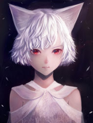 Rule 34 | 1girl, animal ears, blue background, cat ears, closed mouth, commentary request, dress, looking at viewer, original, red eyes, sakimori (hououbds), short hair, solo, wavy hair, white dress