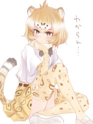 Rule 34 | 10s, 1girl, animal ears, animal print, black bow, black bowtie, bow, bowtie, brown eyes, closed mouth, commentary request, full body, fur collar, gloves, hand on own cheek, hand on own face, hand rest, hand up, head rest, highres, jaguar (kemono friends), jaguar ears, jaguar print, jaguar tail, kemono friends, knee up, light brown hair, looking to the side, nenkou-san, print gloves, print skirt, print thighhighs, shirt, shoes, short hair, short sleeves, sitting, skirt, soles, solo, tail, thighhighs, white footwear, white shirt