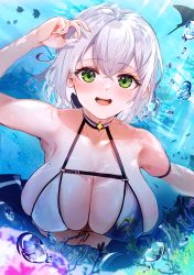 Rule 34 | 1girl, air bubble, aya02ka, bikini, blush, breasts, bubble, cleavage, fish, green eyes, highres, hololive, large breasts, looking at viewer, mole, mole on breast, open mouth, shirogane noel, shirogane noel (summer 2020), short hair, smile, swimsuit, tropical fish, underwater, upper body, virtual youtuber, water, white hair