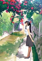 Rule 34 | 1girl, black hair, black skirt, branch, commentary request, day, closed eyes, flower, hair ribbon, hattori mitsuru, highres, long hair, original, outdoors, pantyhose, ponytail, real world location, red flower, red ribbon, ribbon, river, riverbank, short sleeves, sidelocks, skirt, smelling flower, solo, standing