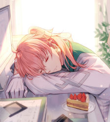 Rule 34 | 1boy, ahoge, bison cangshu, blurry, cake, closed eyes, closed mouth, coat, day, depth of field, fate/grand order, fate (series), food, gloves, highres, indoors, long sleeves, male focus, monitor, pink hair, plant, ponytail, potted plant, romani archaman, sleeping, smile, solo, white gloves, window