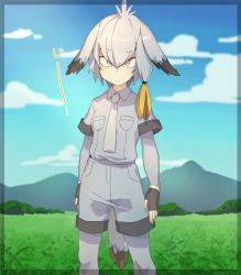 Rule 34 | 10s, 1girl, bird tail, bird wings, blonde hair, bodysuit, bodysuit under clothes, breast pocket, cloud, collared shirt, commentary request, cowboy shot, day, eguegukun, fingerless gloves, gloves, grass, grey hair, hair tie, head wings, highres, kemono friends, layered sleeves, long sleeves, mountain, multicolored hair, necktie, pantyhose, pocket, shirt, shoebill (kemono friends), short hair, short over long sleeves, short sleeves, shorts, sky, solo, tail, wings, yellow eyes