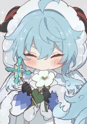 Rule 34 | 1girl, aged down, ahoge, bell, black gloves, blue hair, blush, cape, child, closed eyes, cowbell, eating, eating flower, fur-trimmed cape, fur-trimmed headwear, fur-trimmed hood, fur trim, ganyu (young) (genshin impact), ganyu (genshin impact), ganyu (young) (genshin impact), genshin impact, gloves, goat horns, hair between eyes, hood, hood up, horns, hoshiyui tsukino, neck bell, official alternate costume, qingxin flower, sidelocks, tail, winter clothes