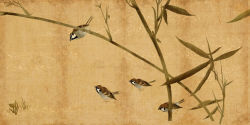 Rule 34 | animal focus, beak, bird, bird request, black eyes, branch, brown background, closed mouth, commentary, english commentary, grass, hanging, leaf, looking down, official art, open mouth, roland macdonald, standing, talons, total war: shogun 2