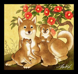 Rule 34 | animal focus, black border, border, dog, flower, grass, looking at viewer, no humans, original, plant, red flower, shiba inu, signature, takigraphic