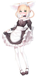 Rule 34 | 1girl, absurdres, alternate costume, animal ears, apron, arknights, back bow, beudelb, black collar, black dress, black footwear, blonde hair, blush, bow, braid, breasts, clothes lift, collar, collarbone, dress, dress lift, enmaided, flower, fox ears, fox girl, frilled dress, frills, full body, green eyes, grey bow, highres, infection monitor (arknights), lifted by self, lily of the valley, long hair, looking at viewer, maid, maid headdress, multicolored hair, neck ribbon, no tail, off-shoulder dress, off shoulder, ribbon, shoes, sidelocks, simple background, small breasts, solo, standing, streaked hair, suzuran (arknights), thighhighs, white apron, white background, white hair, white ribbon, white thighhighs