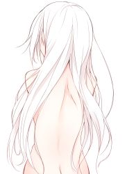 Rule 34 | 1girl, absurdres, back, butt crack, highres, long hair, nude, original, otokuyou, shiroi ko (haegiwa), shiroi ko (otokuyou), simple background, solo, white hair