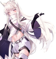 Rule 34 | 1girl, a fu jiade luo, absurdres, animal ears, arknights, black gloves, black thighhighs, brown eyes, commentary, cowboy shot, crop top, gloves, groin, hand up, high collar, highres, holding, holding own hair, horse ears, horse tail, jacket, long hair, long sleeves, looking at viewer, midriff, navel, platinum (arknights), shorts, silver hair, simple background, solo, stomach, tail, thighhighs, white background, white jacket, white shorts, wide sleeves