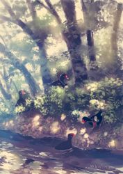 Rule 34 | bad id, bad pixiv id, bathing, bird, bush, commentary request, dappled sunlight, day, eye contact, forest, grass, highres, looking at another, manino (mofuritaionaka), nature, no humans, original, outdoors, river, scenery, signature, sunlight