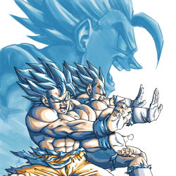 Rule 34 | blue eyes, blue hair, clenched teeth, dougi, dragon ball, dragon ball super, dragon ball super broly, dragon ball z dokkan battle, forest 1988, from side, fusion, gogeta, incoming attack, kamehameha (dragon ball), multiple boys, saiyan, simple background, son goku, spiked hair, super saiyan, super saiyan blue, teeth, torn clothes, vegeta, white background