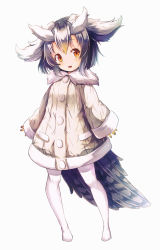 Rule 34 | 10s, 1girl, full body, highres, kemono friends, long sleeves, looking to the side, northern white-faced owl (kemono friends), orange eyes, short hair, simple background, solo, sorairo len, standing, tail, white background, white hair, white legwear