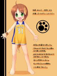 Rule 34 | 1girl, ahoge, animal ears, barefoot, basketball, basketball uniform, blush, brown hair, character profile, child, clothes writing, dog ears, dog tail, fang, feet, green eyes, inuarashi, jersey, legs, md5 mismatch, meiko (inuarashi), original, outstretched arms, paw print, short hair, short shorts, shorts, solo, sportswear, spread arms, tail, translation request, watch, wristwatch