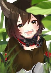 Rule 34 | 1girl, animal ears, black capelet, black hair, bob cut, brown eyes, capelet, cat ears, collar, female focus, grass, highres, hololive, leaves, looking at viewer, nature, nejime, open mouth, roboco-san, solo, teeth, virtual youtuber