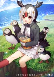 Rule 34 | 1girl, :d, animal, atlantic puffin (kemono friends), bird, black hair, black jacket, black wings, blue sky, brown hair, cloud, cloudy sky, commentary request, copyright notice, day, feathered wings, food, food on face, frilled skirt, frills, gambe, gloves, head wings, highres, holding, holding food, horizon, jacket, japari chips, kemono friends, kneehighs, long sleeves, multicolored hair, name connection, ocean, open clothes, open jacket, open mouth, outdoors, red eyes, red hair, red socks, shirt, skirt, sky, smile, socks, solo, sweater vest, translated, water, watermark, white gloves, white hair, white shirt, white skirt, wings