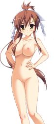 Rule 34 | blush, breasts, cleft of venus, large breasts, pussy, simple background, tenshinranman, yamabuki aoi