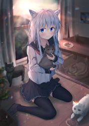 Rule 34 | 1girl, absurdres, animal, animal ears, black sailor collar, black thighhighs, blue eyes, blurry, blurry background, blush, cat, cat ears, collarbone, cookie, curtains, depth of field, dfd, drink, food, hair between eyes, hibiki (kancolle), highres, holding, holding animal, holding cat, kantai collection, legs folded, lens flare, long hair, long sleeves, looking to the side, multiple cats, neckerchief, painting (object), pet food, plant, pleated skirt, potted plant, red neckerchief, sailor collar, school uniform, serafuku, sitting, skirt, smile, solo, table, thighhighs, wariza, white hair, window