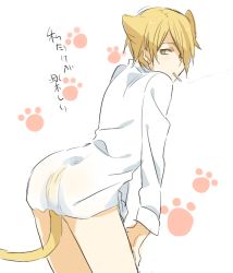 Rule 34 | 1boy, animal ears, bad id, bad pixiv id, blonde hair, cat boy, cat ears, cat tail, cigarette, dress shirt, hair over one eye, male focus, paw print, satou jun, shirt, short hair, solo, tail, tooru (jux), translation request, white background, working!!, yellow eyes