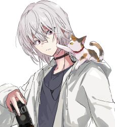 Rule 34 | 1boy, accelerator (toaru majutsu no index), albino, ambiguous gender, androgynous, animal, animal on shoulder, anninn do fu, arm at side, black choker, black shirt, calico, can, canned coffee, cat, cat on person, cat on shoulder, choker, coffee, drink can, electrodes, fingernails, hair between eyes, hand up, highres, holding, holding can, hood, hood down, jacket, kitten, looking at another, messy hair, open mouth, pale skin, red eyes, sanpaku, shirt, short hair, sidelocks, sketch, solo, solo focus, sphinx (toaru majutsu no index), sphynx (cat), surprised, toaru majutsu no index, upper body, white background, white hair, white jacket