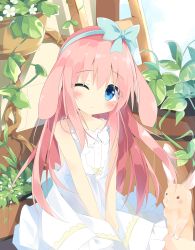 Rule 34 | 1girl, ;&lt;, animal, animal ears, bare arms, bare shoulders, blue bow, blue eyes, blush, bow, rabbit, rabbit ears, closed mouth, commentary request, day, dress, ears down, floppy ears, flower, frilled dress, frills, hair bow, head tilt, highres, kushida you, leaf, looking at viewer, one eye closed, original, outdoors, pink hair, plant, potted plant, sitting, sleeveless, sleeveless dress, solo, v arms, white dress, white flower