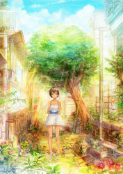 Rule 34 | 1girl, ahoge, barefoot, bloom, bottle, brown eyes, brown hair, building, carrying, colorful, drainpipe, dress, flower, food, leaf, light rays, neyagi, original, industrial pipe, plant, plate, pot, potted plant, short dress, solo, standing, sunbeam, sunlight, tofu, tree, white dress