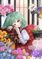 Rule 34 | 1girl, blue flower, closed mouth, commentary, flower, flower request, green hair, hands up, head rest, hydrangea, juliet sleeves, kazami yuuka, lips, long sleeves, looking at viewer, neko bocchi, orchid, pink flower, plaid, plaid skirt, plaid vest, puffy sleeves, purple flower, purple tulip, red eyes, red flower, red skirt, red vest, rose, shirt, short hair, sitting, skirt, sunflower, touhou, tulip, vest, white flower, white shirt, yellow flower