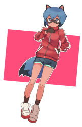 Rule 34 | 1girl, animal ears, black hair, black shorts, blue eyes, blue hair, body fur, brand new animal, breasts, closed mouth, dutch angle, full body, furry, furry female, gazacy (dai), hand in pocket, highres, jacket, kagemori michiru, long sleeves, looking at viewer, multicolored hair, outline, raccoon ears, raccoon girl, raccoon tail, red jacket, short hair, shorts, simple background, small breasts, smile, solo, tail, track jacket, white background