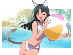 Rule 34 | 1girl, ;d, animal ear fluff, animal ears, ball, bare arms, bare shoulders, beachball, bikini, blush stickers, brown eyes, cat ears, cat girl, cat tail, collarbone, commentary request, covered collarbone, fang, green hair, hands up, highres, holding, holding ball, long hair, navel, one eye closed, open mouth, original, pool, smile, solo, swimsuit, tail, tonbi, water, white bikini