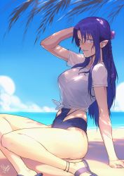 Rule 34 | 1girl, absurdres, arm support, arm up, bare legs, beach, braid, breasts, cleavage, commission, day, fate (series), flower, from side, hair flower, hair ornament, highres, horizon, large breasts, lipstick, long hair, looking at viewer, makeup, medea (fate), one-piece swimsuit, outdoors, parted bangs, parted lips, pointy ears, purple eyes, purple hair, purple one-piece swimsuit, sandals, second-party source, see-through, shirt, side braid, sidelocks, sitting, smile, solkorra, solo, swimsuit, t-shirt, tied shirt, yokozuwari