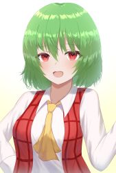 Rule 34 | 1girl, absurdres, anima miko, ascot, blush, breasts, collar, collared shirt, eyes visible through hair, green hair, hair between eyes, hand on own hip, hand up, highres, kazami yuuka, long sleeves, looking away, medium breasts, open mouth, plaid, plaid vest, red eyes, red vest, shirt, short hair, smile, solo, touhou, vest, white shirt, white sleeves, yellow ascot