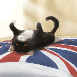 Rule 34 | cat, catgirl0926, flag, japan (hetalia), lowres, no humans, tagme, union jack