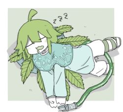 Rule 34 | 1girl, ahoge, blue capelet, blue shirt, blush, border, capelet, closed eyes, drooling, facing viewer, foot out of frame, green background, green hair, long sleeves, marijuana, mouth drool, original, outside border, pantyhose, personification, plant wings, shadow, shirt, shorts, simple background, sleeping, solo, striped clothes, striped pantyhose, tail, torosakana, white border, white shorts, wings, zzz