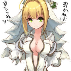 Rule 34 | 10s, 1girl, blonde hair, bodysuit, breasts, cleavage, fate/extra, fate/extra ccc, fate/grand order, fate (series), flower, gloves, green eyes, nero claudius (bride) (fate), nero claudius (fate), nero claudius (fate/extra), short hair, smile, veil