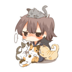 Rule 34 | ..., 10s, 1girl, :&lt;, :3, animal, animal on head, blush, brown hair, cat, cat on head, chibi, flat chest, kaga (kancolle), kantai collection, lowres, on head, ponytail, rebecca (keinelove), school uniform, serafuku, simple background, sitting, solo, sweat, too many, too many cats, white background
