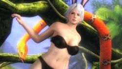 Rule 34 | 1girl, 3d, animal ears, bikini, breasts, christie (doa), dead or alive, dead or alive 5, female focus, fur, highres, large breasts, nature, navel, official art, official wallpaper, outdoors, plant, rabbit ears, sky, snake, solo, swimsuit, tecmo, white hair