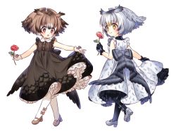 Rule 34 | 10s, 2girls, :&gt;, :o, adapted costume, alternate costume, alternate eye color, animal print, bare arms, black dress, black gloves, black hair, black legwear, blonde hair, blush, bow, brown bow, brown footwear, brown hair, closed mouth, collared dress, dot nose, dress, eurasian eagle owl (kemono friends), flower, frills, gloves, grey bow, grey footwear, grey hair, grey ribbon, head wings, holding, holding clothes, holding dress, holding flower, kemono friends, leaf, leg lift, light brown hair, looking at another, looking down, mary janes, multicolored hair, multiple girls, northern white-faced owl (kemono friends), open mouth, outstretched arms, pantyhose, pink eyes, print dress, red flower, red rose, rose, shoe soles, shoes, short hair, simple background, sleeveless, sleeveless dress, smile, spread arms, sumachii, tareme, white background, white dress, white gloves, white hair, white legwear, wings, yellow eyes